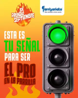 Catálogo Ferrisariato (válido hasta 13-09)