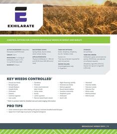 Co-Op Food flyer Page 13