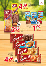 Selgros gazetka Strona 13