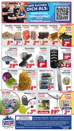 CENTERSHOP Prospekt woche 38 Seite 12