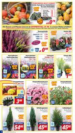 CENTERSHOP Prospekt woche 38 Seite 4