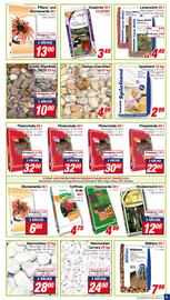CENTERSHOP Prospekt woche 38 Seite 5