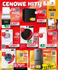 Selgros gazetka Strona 11