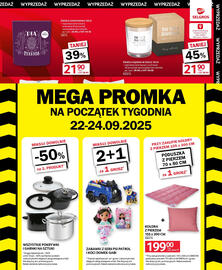Selgros gazetka Strona 45