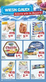Famila Nord West Prospekt woche 38 Seite 17
