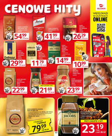 Selgros gazetka Strona 19