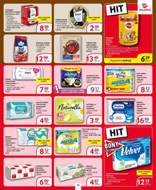 Selgros gazetka Strona 31