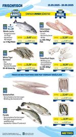 METRO Prospekt | Gastro Seite 5