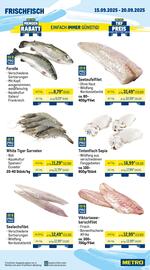 METRO Prospekt woche 38 Seite 5