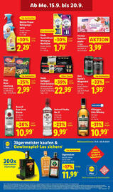 Lidl Prospekt woche 38 Seite 17