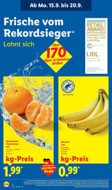 Lidl Prospekt woche 38 Seite 2