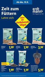 Lidl Prospekt woche 38 Seite 25
