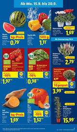 Lidl Prospekt woche 38 Seite 3