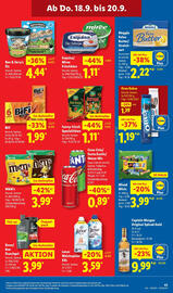 Lidl Prospekt woche 38 Seite 63