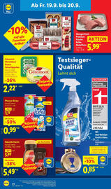 Lidl Prospekt woche 38 Seite 66