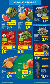 Lidl Prospekt woche 38 Seite 3