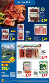 Lidl Prospekt woche 38 Seite 54