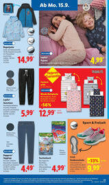 Lidl Prospekt woche 38 Seite 37