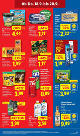 Lidl Prospekt woche 38 Seite 63