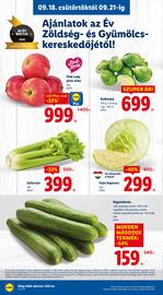 Lidl akciós újság Oldal 10