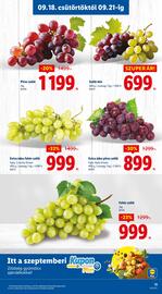 Lidl akciós újság Oldal 11