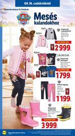Lidl akciós újság Oldal 42