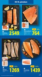 Lidl akciós újság Oldal 47