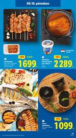 Lidl akciós újság Oldal 49