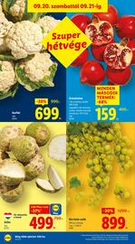 Lidl akciós újság Oldal 50