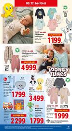 Lidl akciós újság Oldal 61