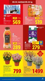 Lidl akciós újság Oldal 65