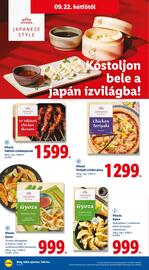Lidl akciós újság Oldal 66