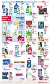 Rossmann Prospekt Seite 17