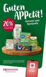 Rossmann Prospekt Seite 22