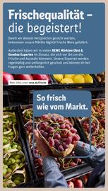 REWE DE tilbudsavis uge 38 Side 29