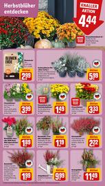 REWE DE tilbudsavis uge 38 Side 5