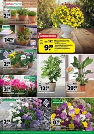 Hagebau Prospekt woche 37 Seite 6