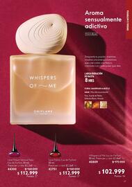 Catálogo Oriflame Página 17