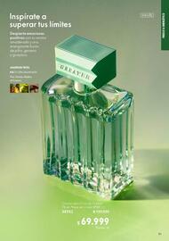 Catálogo Oriflame Página 31
