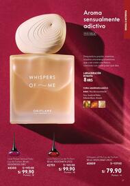 Catálogo Oriflame Página 17
