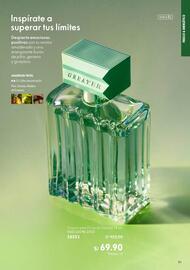 Catálogo Oriflame Página 31