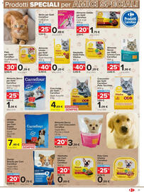 Volantino Carrefour Pagina 21