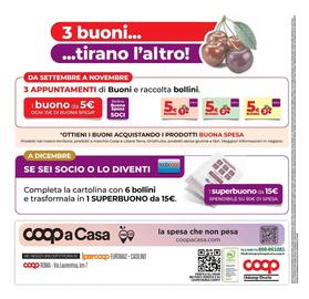 Volantino Ipercoop Pagina 28