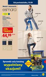 Lidl gazetka Strona 13