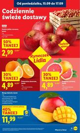 Lidl gazetka Strona 15