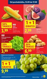 Lidl gazetka Strona 17