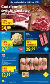 Lidl gazetka Strona 28