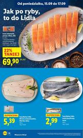 Lidl gazetka Strona 32