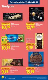 Lidl gazetka Strona 48