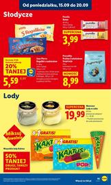 Lidl gazetka Strona 49